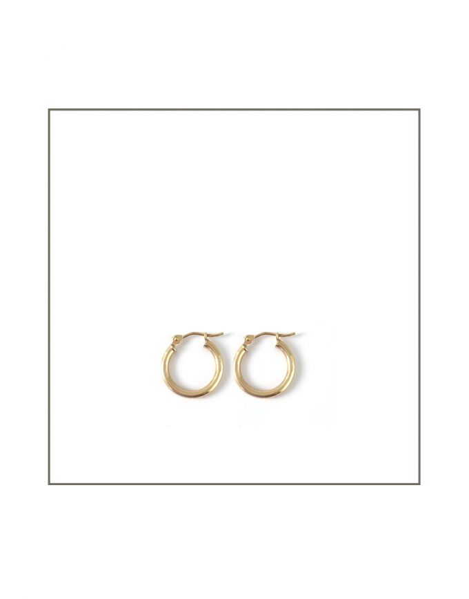 Gold Hoop Earrings