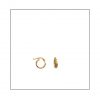 Gold Hoop Snug Earrings