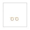 Small gold hoops
